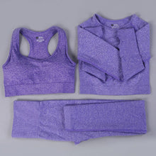 Load image into Gallery viewer, 2/3PCS Seamless Women Workout Sportswear